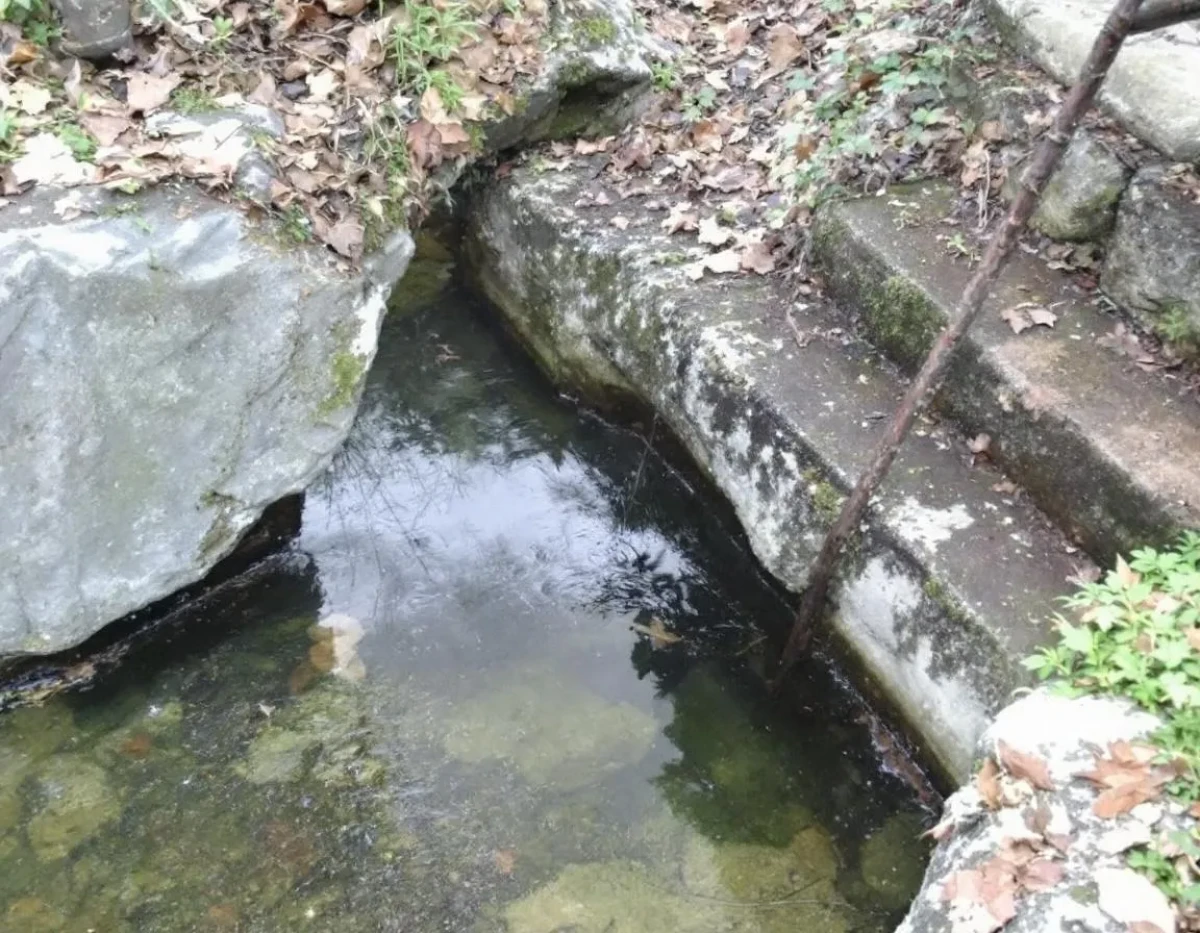 Délais à Respecter pour la Réparation de Dégâts d'Eau en Ohio : Guide pour Propriétaires